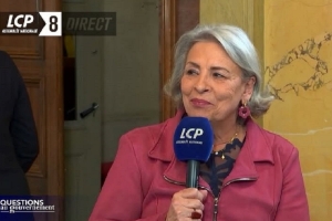 Réaction au recours à l'article 49.3 